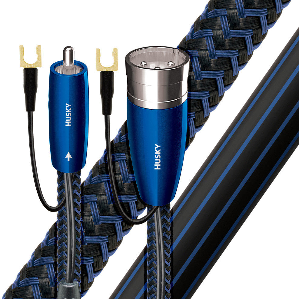 Audio Advisor