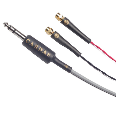 Audio Advisor