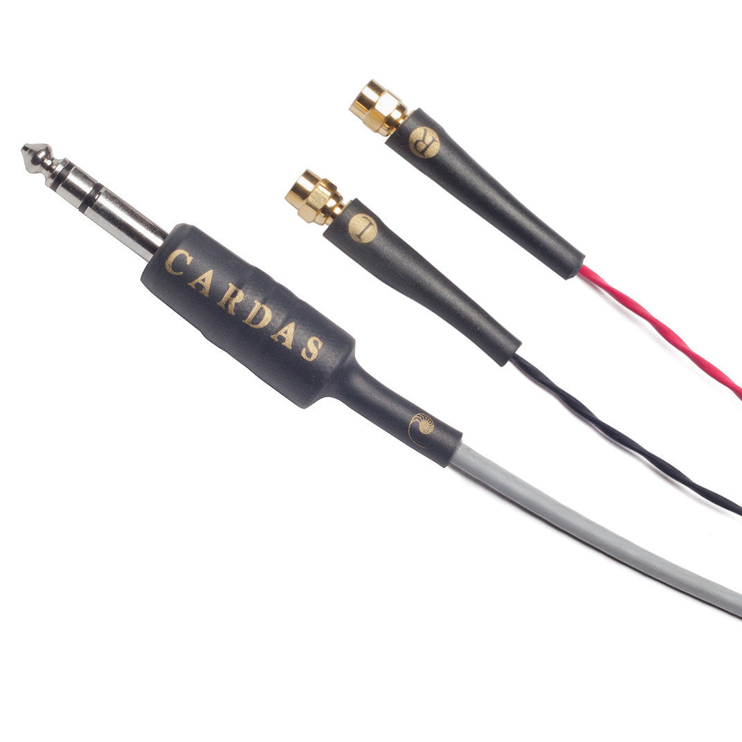 Audio Advisor