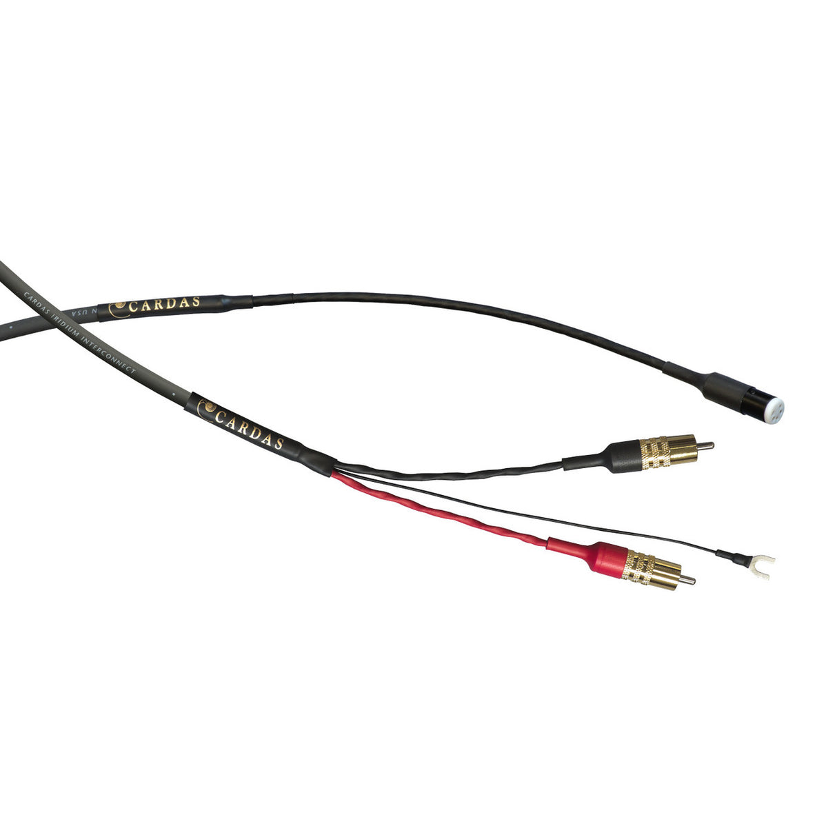 Audio Advisor