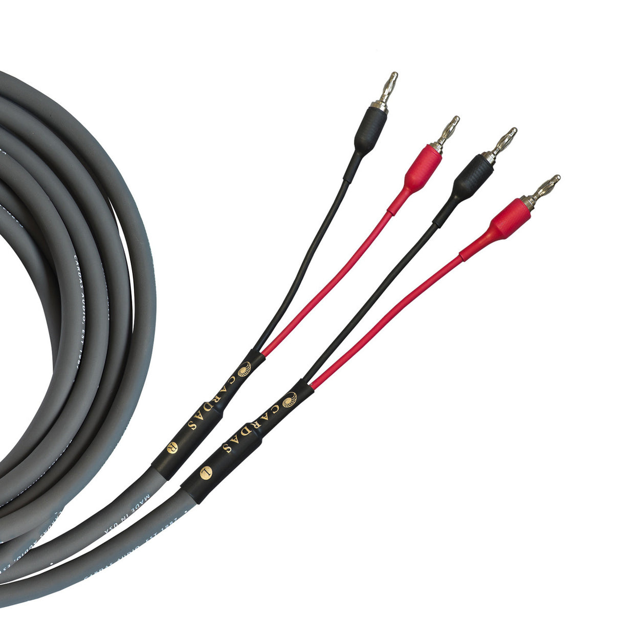 Audio Advisor