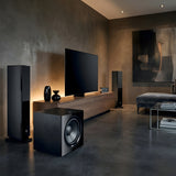 Audio Advisor