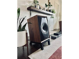 Audio Advisor