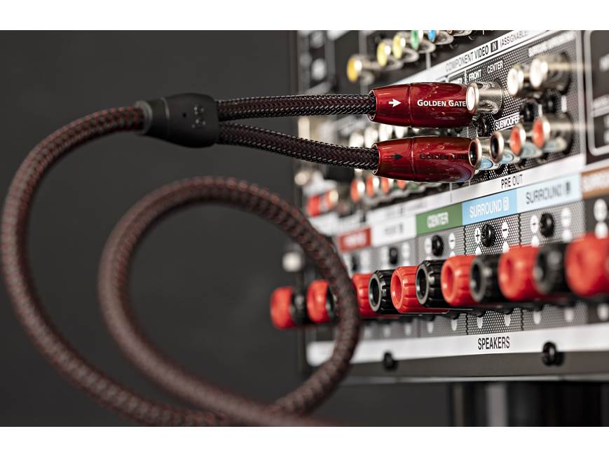 Audio Advisor