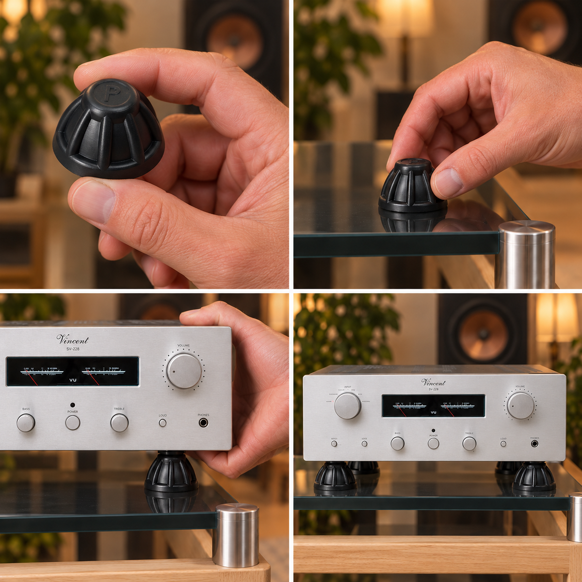 Audio Advisor