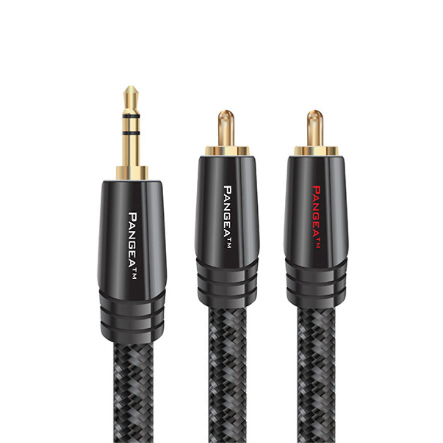 Audio Advisor
