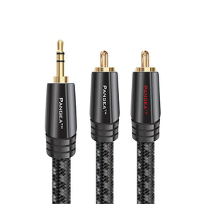 Audio Advisor
