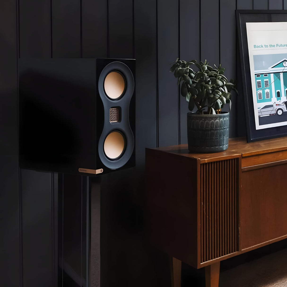 Audio Advisor